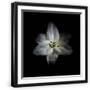 Black Frame