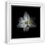 White Frame