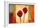 White Frame