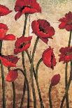 Poppies in Rhythm II-Brian Francis-Art Print