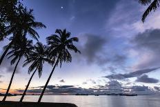 Palm trees by Sittwe harbour before sunrise, Myanmar-Brian Graney-Photographic Print