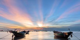 Palm trees by Sittwe harbour before sunrise, Myanmar-Brian Graney-Framed Photographic Print