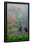 Essential Black