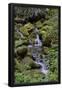 Essential Black