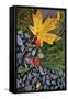 Canvas Black