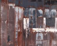 Oxidize-Brian Neish-Stretched Canvas