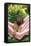 Briard Puppy in Hammock-null-Framed Stretched Canvas