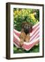 Briard Puppy in Hammock-null-Framed Photographic Print