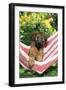 Briard Puppy in Hammock-null-Framed Photographic Print