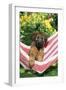 Briard Puppy in Hammock-null-Framed Photographic Print