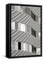 Brick & Glass II BW-Douglas Taylor-Framed Stretched Canvas