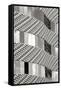 Brick & Glass II BW-Douglas Taylor-Framed Stretched Canvas