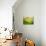 Brick House-Marcin Sobas-Photographic Print displayed on a wall