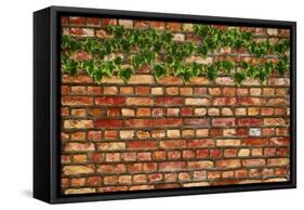 Brick Wall and Ivy-Tina Lavoie-Framed Stretched Canvas
