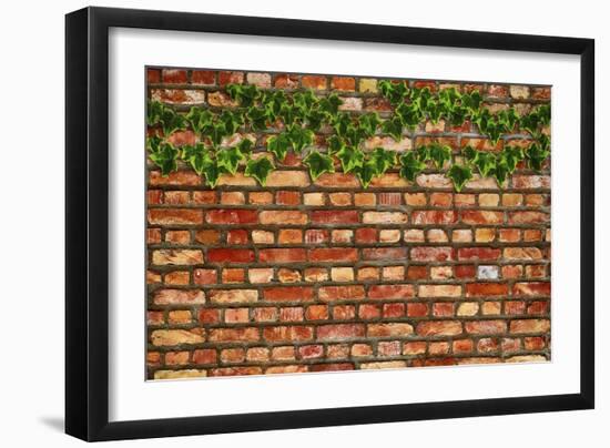 Brick Wall and Ivy-Tina Lavoie-Framed Giclee Print