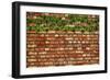 Brick Wall and Ivy-Tina Lavoie-Framed Giclee Print