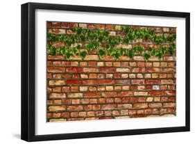 Brick Wall and Ivy-Tina Lavoie-Framed Giclee Print