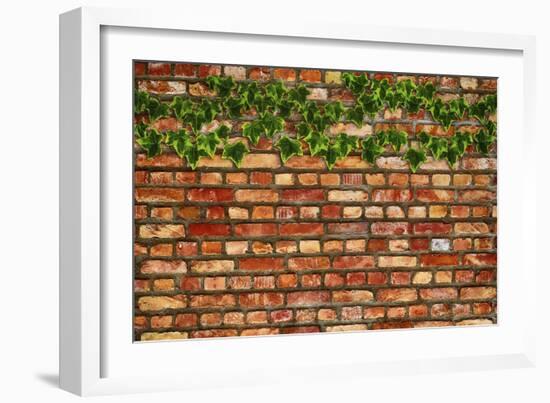 Brick Wall and Ivy-Tina Lavoie-Framed Giclee Print