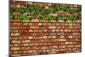 Brick Wall and Ivy-Tina Lavoie-Mounted Giclee Print