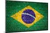 Brick Wall Brazil-Tonygers-Mounted Photographic Print