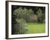 Brick Wall in Garden-null-Framed Photographic Print