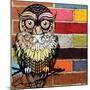 Brick Wall Owl-Piper Ballantyne-Mounted Art Print