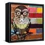 Brick Wall Owl-Piper Ballantyne-Framed Stretched Canvas