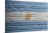 Brick Wall With A Painting Of A Flag, Argentina-Micha Klootwijk-Mounted Art Print