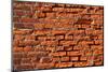 Brick Wall-Catharina Lux-Mounted Photographic Print