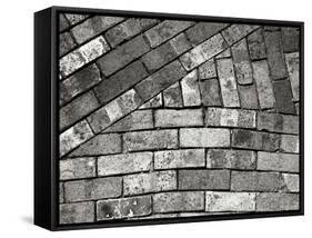 Bricks-Jim Christensen-Framed Stretched Canvas