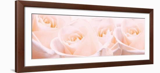 Bridal Bouquet of Pale Pink Roses-null-Framed Art Print