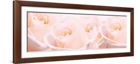 Bridal Bouquet of Pale Pink Roses-null-Framed Art Print