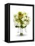 Bridal Bouquet-Lew Robertson-Framed Stretched Canvas