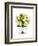 Bridal Bouquet-Lew Robertson-Framed Photographic Print