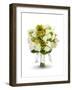 Bridal Bouquet-Lew Robertson-Framed Photographic Print