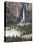 Bridal Falls, Yosemite, California, USA-Tom Norring-Stretched Canvas