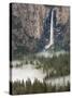 Bridal Falls, Yosemite, California, USA-Tom Norring-Stretched Canvas