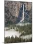 Bridal Falls, Yosemite, California, USA-Tom Norring-Mounted Photographic Print