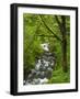 Bridal Veil Creek Flowing Through Forest in Springtime, Mt. Hood National Forest-Steve Terrill-Framed Photographic Print