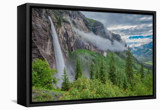 Bridal Veil Falls Iand Fog, Uncomphagre National Forest, Colorado, San Juan Mou-Tom Till-Framed Stretched Canvas