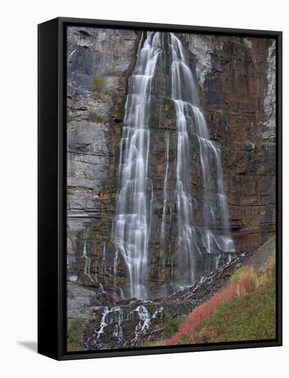 Bridal Veil Falls in the Fall, Uinta National Forest, Utah, United States of America, North America-James Hager-Framed Stretched Canvas