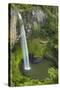 Bridal Veil Falls, Near Raglan, Waikato, North Island, New Zealand-David Wall-Stretched Canvas