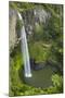 Bridal Veil Falls, Near Raglan, Waikato, North Island, New Zealand-David Wall-Mounted Photographic Print