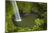 Bridal Veil Falls, Near Raglan, Waikato, North Island, New Zealand-David Wall-Mounted Photographic Print