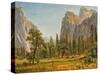 Bridal Veil Falls, Yosemite Valley, California, 1871-73-Albert Bierstadt-Stretched Canvas