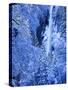 Bridal Vel Falls, Yosemite National Park, California, USA-Scott Smith-Stretched Canvas