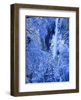 Bridal Vel Falls, Yosemite National Park, California, USA-Scott Smith-Framed Photographic Print