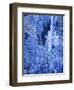 Bridal Vel Falls, Yosemite National Park, California, USA-Scott Smith-Framed Photographic Print