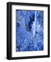 Bridal Vel Falls, Yosemite National Park, California, USA-Scott Smith-Framed Photographic Print