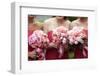 Bridal Wedding Flowers and Bouquets-mrorange002-Framed Photographic Print